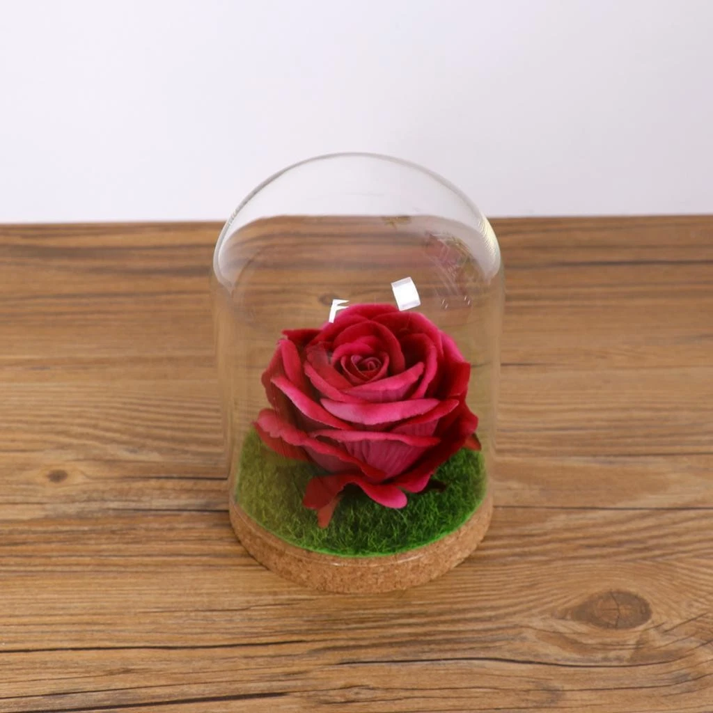 Glass bell jar with wooden base