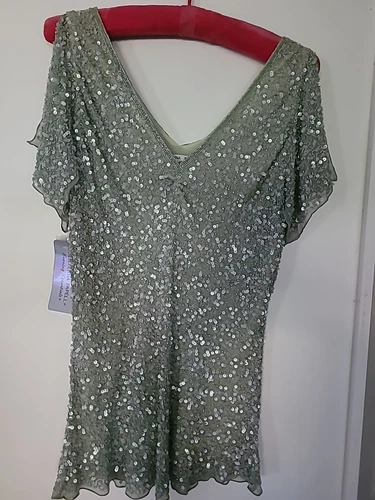 Adrianna Papell Evening V Neck Silk Sequin Blouse, Top New Sz L Pale Green