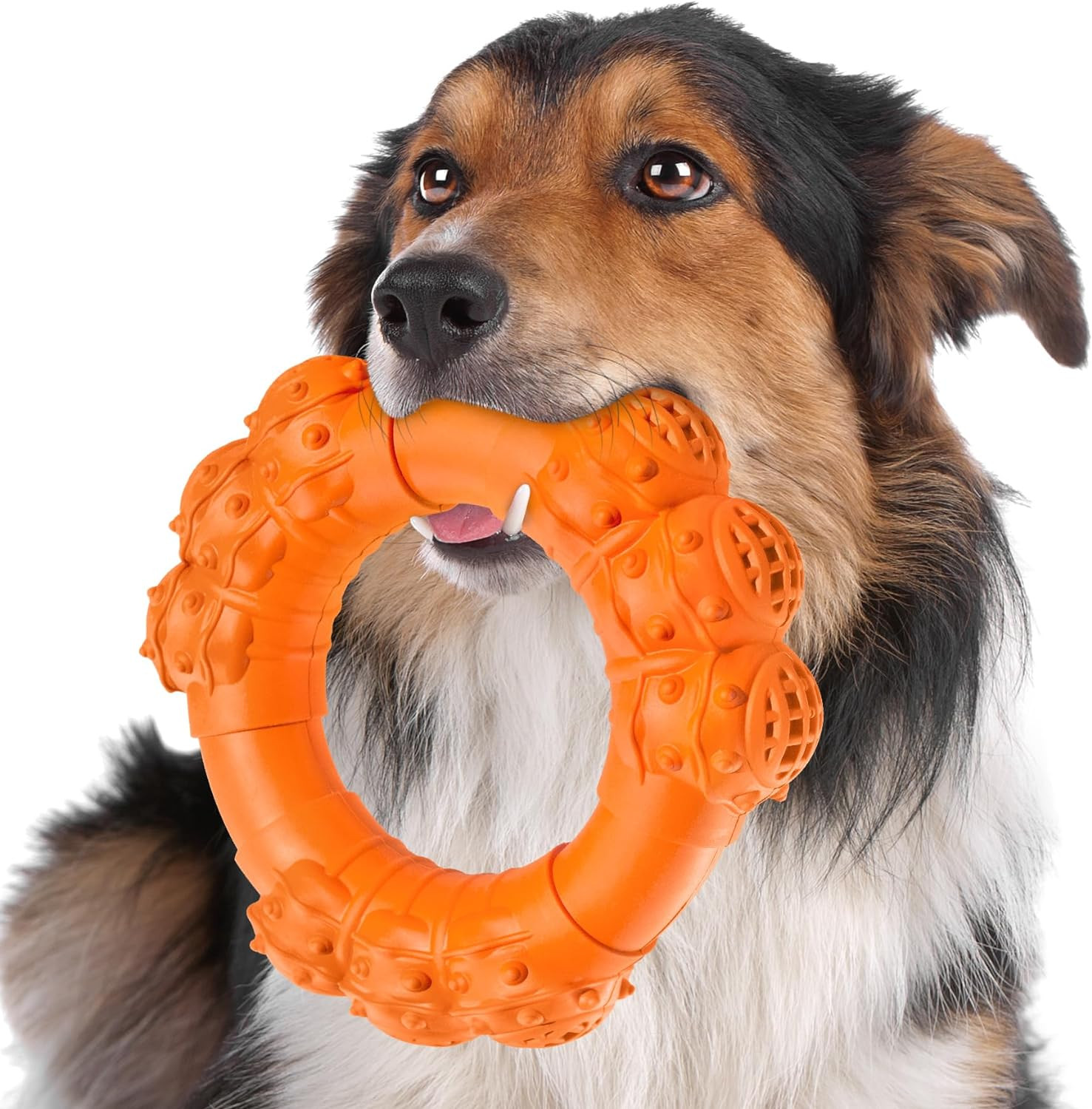 For Aggressive Chewers, Super Chewer Dog Toys