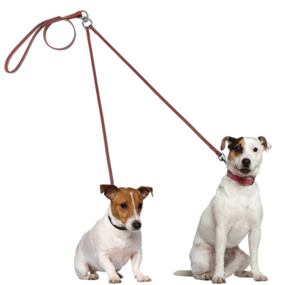 V*E様 50-60's Deru leather dog 西ドイツ製 犬 レザ 50-60´s Deru leather dog 西ドイツ製 犬 レザー
