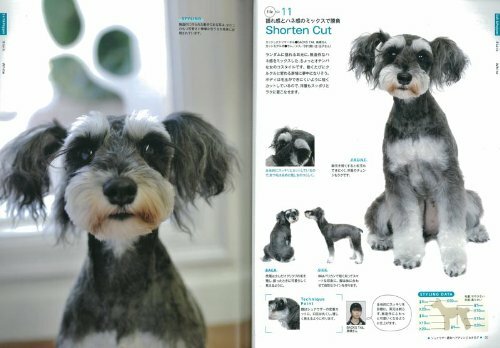Schnauzer Hair Style Arrange Catalog The Dog Grooming Book 2012