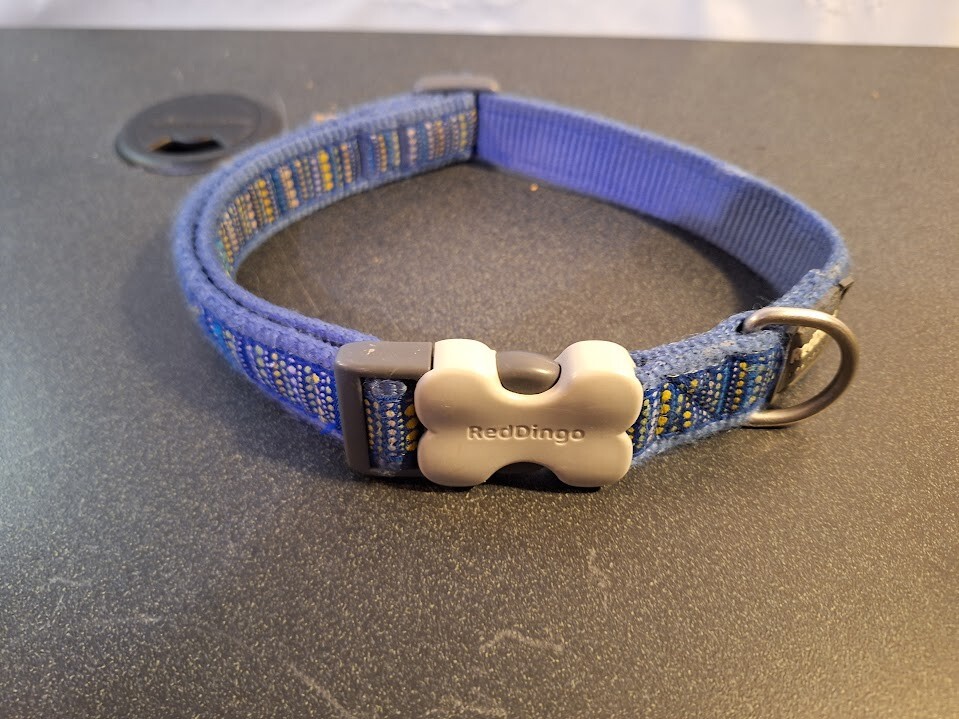 red dingo dog collar large red dingo dog collar large