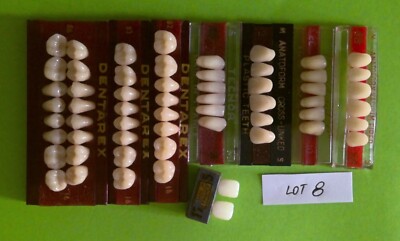 SET ZÄHNE ZAHNERSATZ ZAHNARZT MEDIZIN ANATOMISCHE DIATORIK (SET.8)