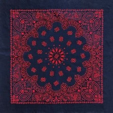 Carolina Creative Bandanna Navy Blue/Red Austin Paisley 27" x 27" 100 Cotton