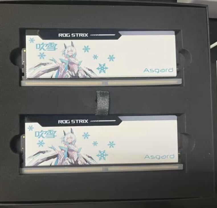 Asgard ROG STRIX RGB 32GB(16GB*2) DDR5 6400mhz support Z790 Z890