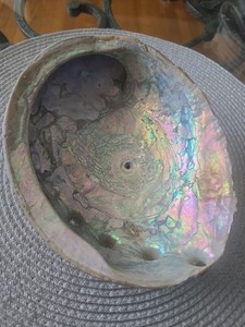 Vintage Large 8" Abalone Shell - Iridescent Mother of Pearl Smudge Bowl Decor
