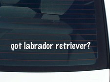 got labrador retriever CAR DECAL BUMPER STICKER VINYL FUNNY JOKE WINDOW