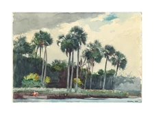Winslow Homer : Red Shirt, Homosassa, Florida : 1904 : Archival Art Print