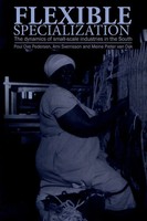 Flexible Specialization The Dynamics Of Small-Scale Industries In The South Buch