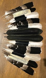 12 African harrier, Yellow Black Cockatoo, Hornbill Tail Feathers. Peyote Fan