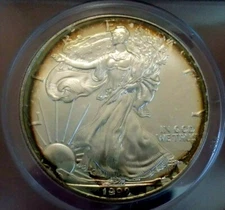 AMERICAN SILVER EAGLE 1999 ANACS MS 66+++++ MONSTER TARGET RAINBOW COOL COIN