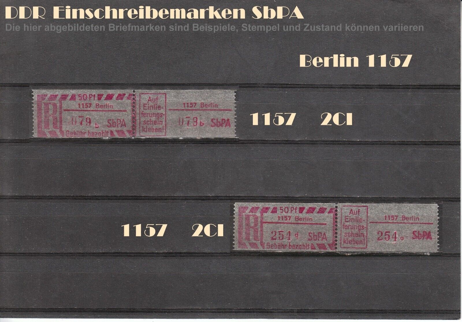 Bild 12 von 19