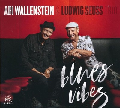 Blues Vibes CD Album Musik Sammlung Klassiker Vintage Retro Vinyl Look