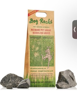 Dog Rocks Urinpflaster Preventer 200g Beutel