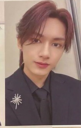 SEVENTEEN SEVENTEENTH HEAVEN SPECIAL THANKS weverse UMS UNIVERSAL PHOTO CARD - Picture 19 of 29