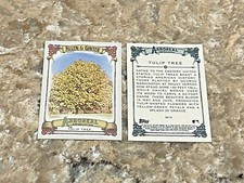 (2) 2021 Topps Allen & Ginter Arboreal Appreciation Tulip Tree #AA-14 Cards