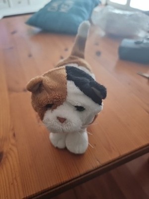 FurReal Friends Neugeborenes Kätzchen Katze Kätzchen Calico Hasbro