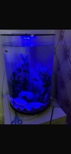 BiOrb Tube 30l Aquarium Fish Tank MCR LED Lighting Filter Black + Biorb Decor