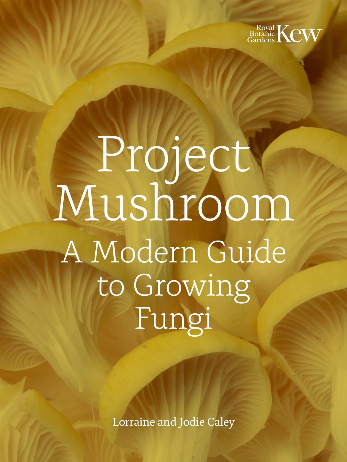 Project Mushroom: A Modern Guide to Growing Fungi by Lorraine Caley NEW - Image 2
