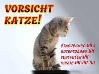 Holzschild 30X40 Cm Vorsicht Katze Strichliste Deko Geschenk Holz Schild