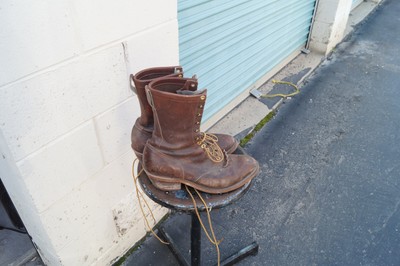 predator indoor cleats