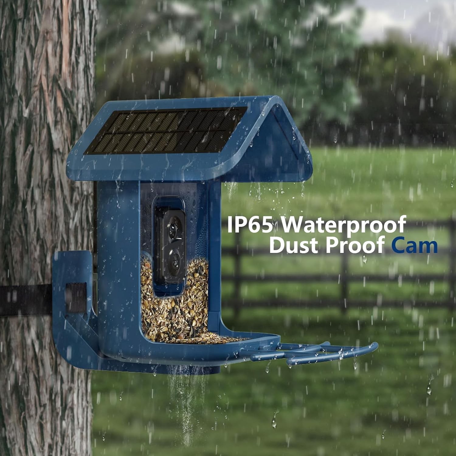 Bird Feeder with Camera Solar Powered : Smart 2K Live Blue 
