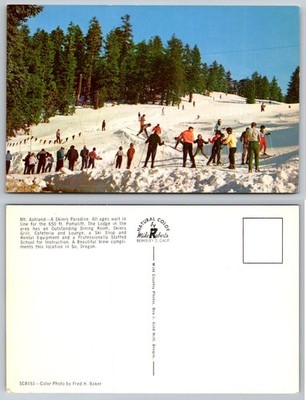 Vintage Mt Ashland Oregon Skiing Postcard 1960s Winter Sports Pomalift Lodge