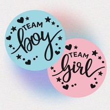 Baby Shower Stickers Team Boy Team Girl Gender Reveal Blue Pink Labels 2” 