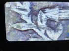 1970-D Improperly Annealed Doubled Die Reverse FS Variety — photo 7