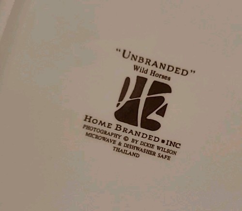 SET OF 4 Home Branded "UNBRANDED" WILD HORSES 8" Square Salad Plates - Picture 14 of 17