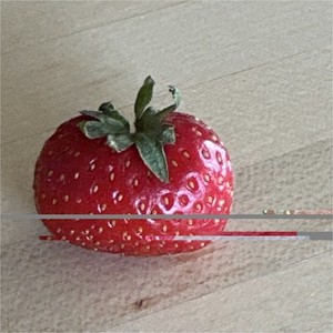 Tomatolookin Strawberry Fruit Red Green Home Decor Accent Single Piece cute smal