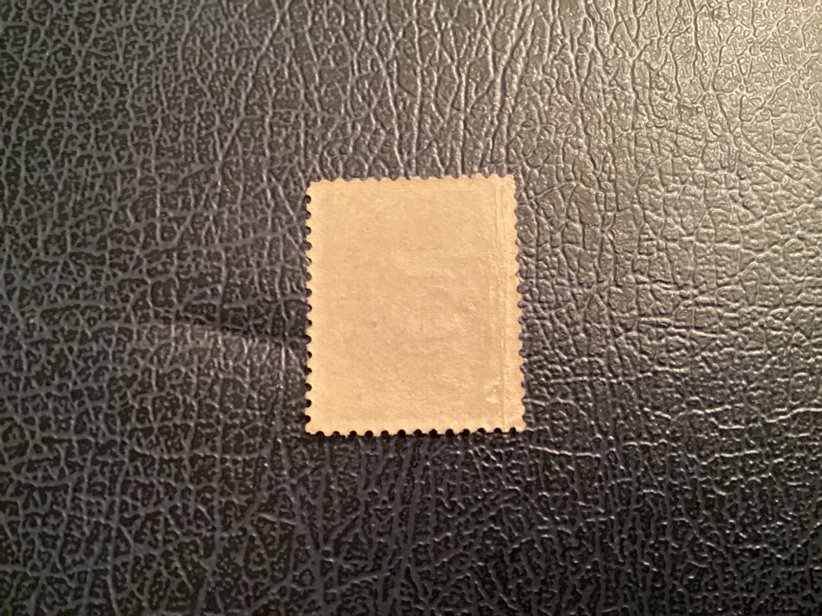 Picture 2