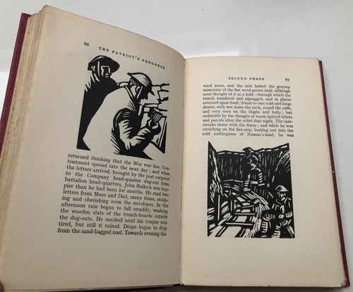 The Patriot’s Progress by Henry Williamson 1st Ed / 1st Print 1930 - Hardback - Picture 11 of 15