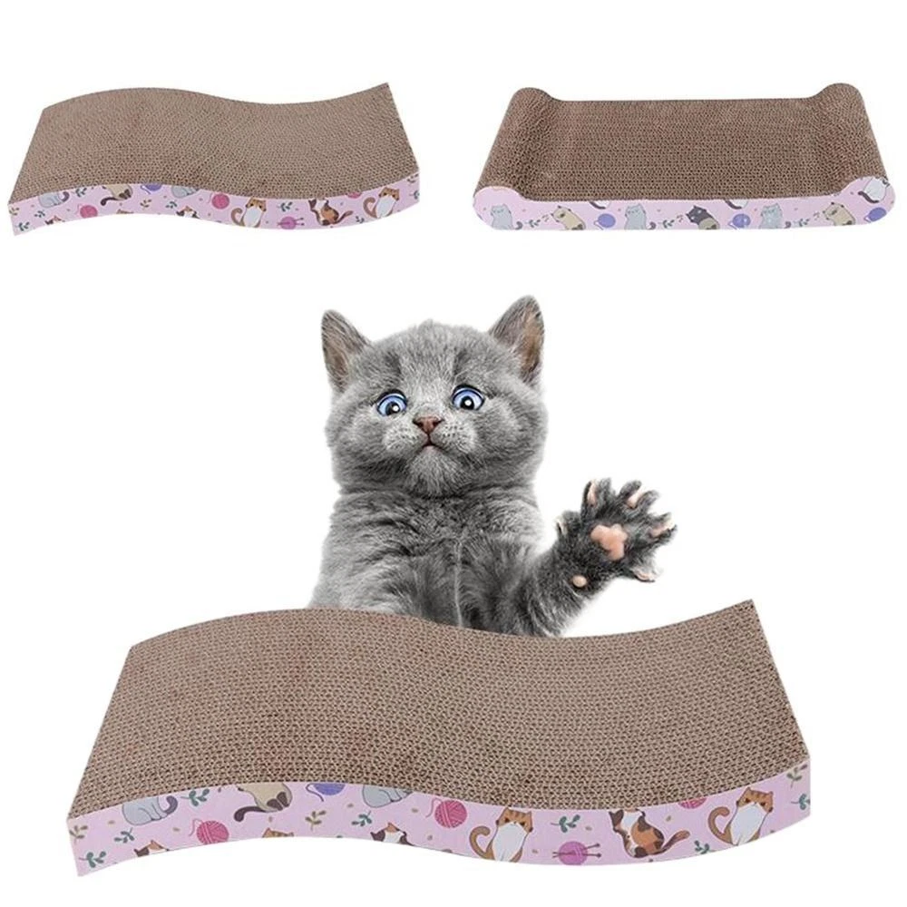 Cat accessories clearance ebay