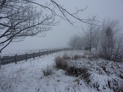 Foto A2 A57 bei Hohlwiesen Schnee, Nebel, Temperatur unter Gefrierpunkt, keine c2010