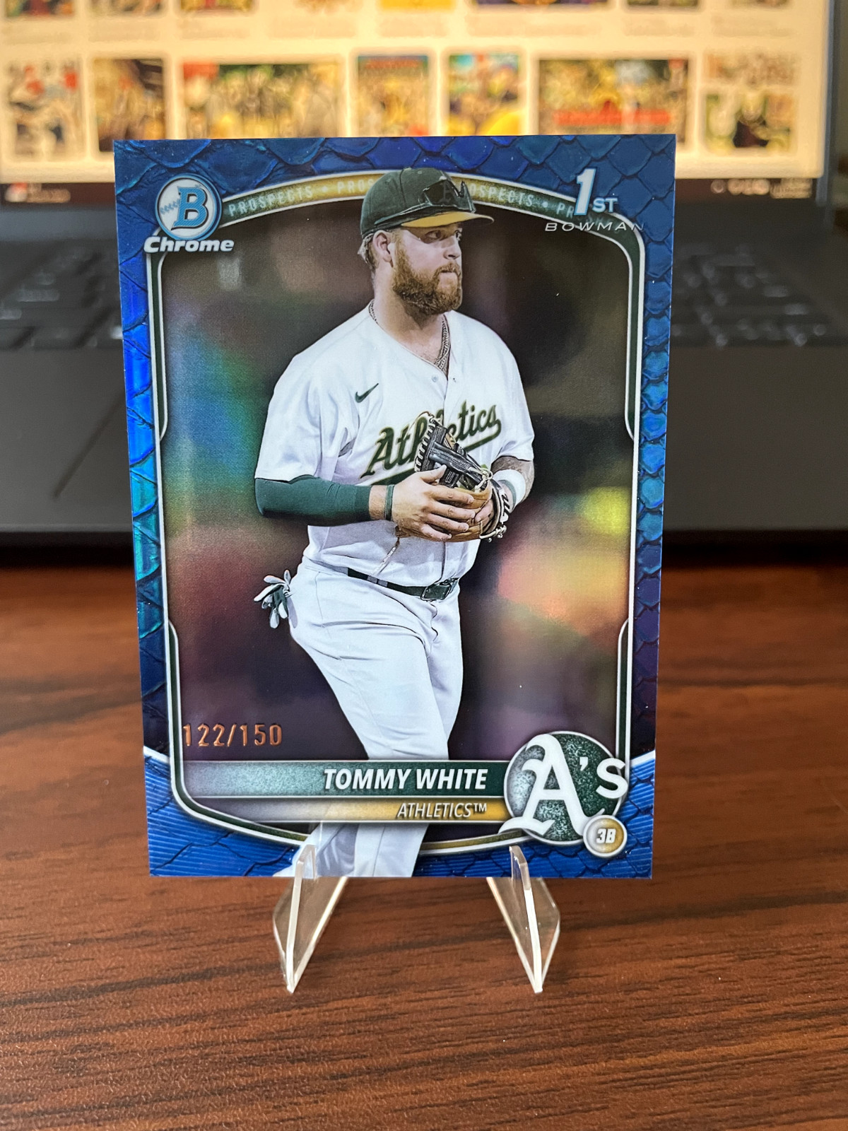 2025 Bowman Chrome 1st Tommy White Blue Reptilian Refractor /150 #BCP-251