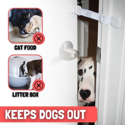 How to Keep Dog Out of Cat Litter Box: Easy Tips That Work