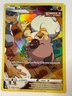 Rockruff TG07/TG30 SWSH Silver Tempest Trainer Gallery FA Holo Pokémon 2022 NM