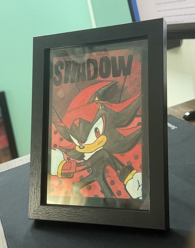 Original Watercolor Shadow The Hedgehog Art Painting With Frame