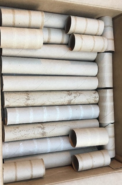 Download 8 Paper Towel 14 Toilet Paper Tubes Empty Rolls School DIY Crafts | eBay