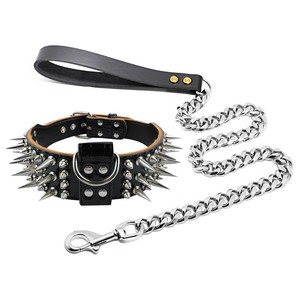 spiked leash