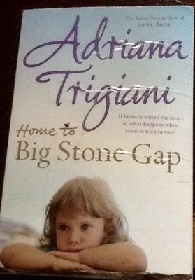 Home to Big Stone Gap by Adriana Trigiani (Paperback, 2007)