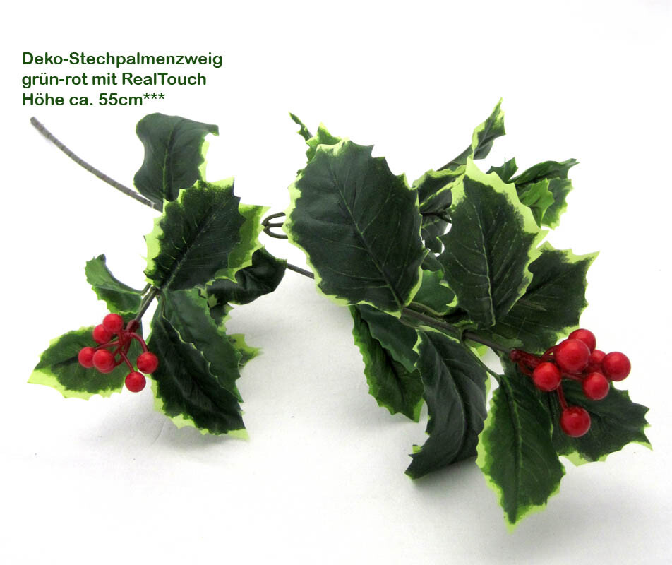 homöopathie thuja d12 Pflüger Thuja D12 Globuli 10 g mit Dosierspender main image 1