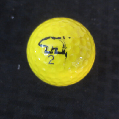 Jack Nicklaus Golden Bear Signature Yellow Golf Ball | eBay