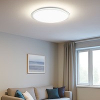Deckenleuchte Deckenlampe Smart Home Sprachsteuerung Dimmbar Timer Cct Weiß Led