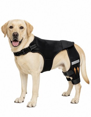 Dog Knee Brace for Torn ACL Hind Back Leg Stabilizers Size Medium
