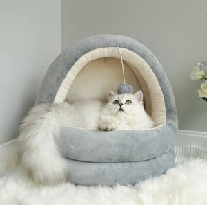 persian cat bed