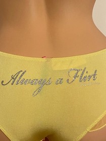 Victoria's Secret Rare 2007 Vintage Sexy Little Things Flirt L Cheeky Panty NWT 