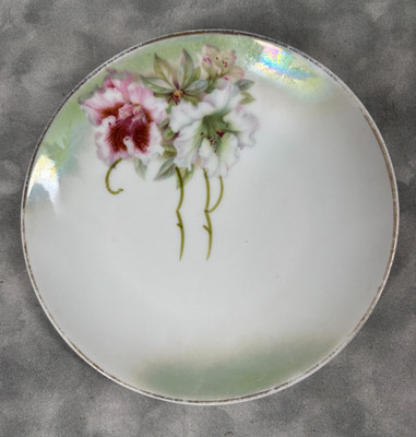 1920s-30s Vtg Schumann Arzberg Germany Porcelain Plate Pink White Blossoms Luste