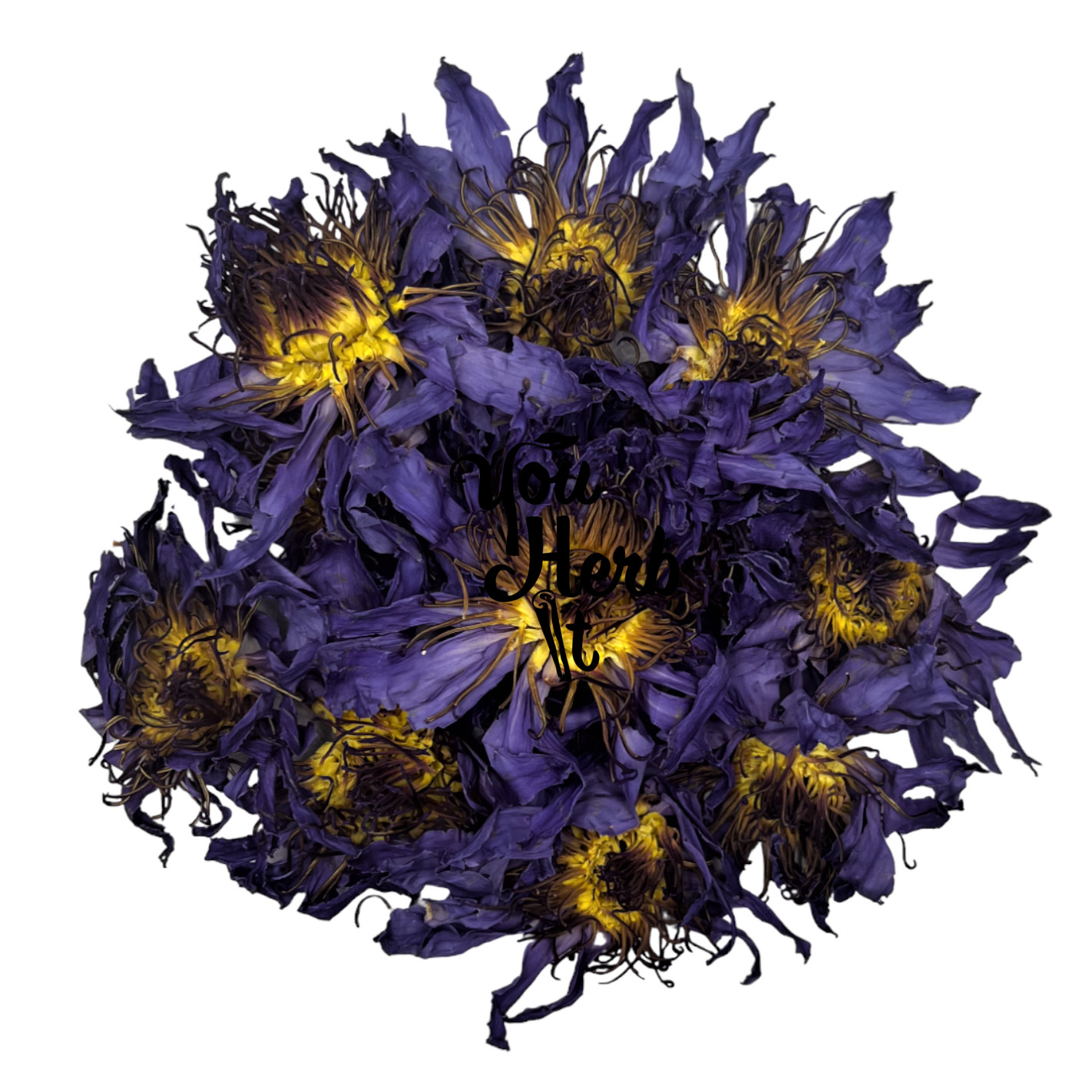 Blauer Lotus Getrockneter Ganz Blüten Tee 25g-200g - Nymphaea Caerulea